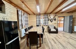 Cabana Valea Ierii, 4 dormitoare, 2 bai, ciubar, 800 mp de teren