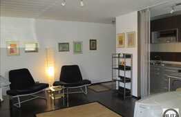 Inchiriere 2 camere, 60 mp, balcon, zona Muzeul Apei! Dotari moderne!