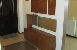 Inchiriere 2 camere, 60 mp, balcon, zona Muzeul Apei! Dotari moderne!