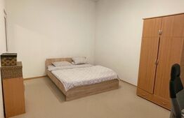 Apartament 1 camera , 30 mp , zona Centrala 