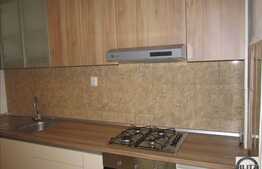 3 camere, 66 mp, parter, boxa, zona strazii Rapsodiei