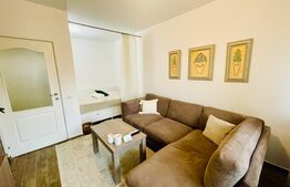 Garsoniera 1 camera+nisa,40 mp utili,Floresti