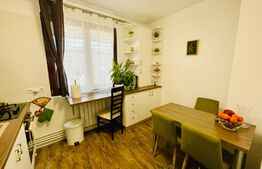 Garsoniera 1 camera+nisa,40 mp utili,Floresti