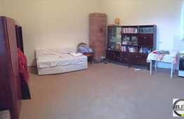 Apartament 1 camera, 30 mp, zona strazii Horea!