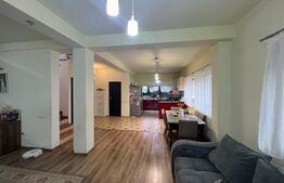 Casa individuala, 160mp utili, 500 teren, zona strazii Mihai Romanul