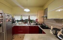 Casa individuala, 160mp utili, 500 teren, zona strazii Mihai Romanul