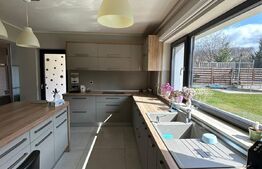 Duplex 227 mp, 690 mp teren, garaj, zona Faget