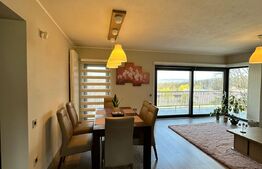 Duplex 227 mp, 690 mp teren, garaj, zona Faget