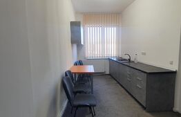 Casa de inchiriat, 6 camere, 300 mp utili + 1000 curte, Zona strazii Traian Mosoiu