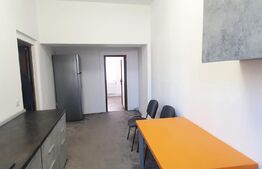 Casa de inchiriat, 6 camere, 300 mp utili + 1000 curte, Zona strazii Traian Mosoiu