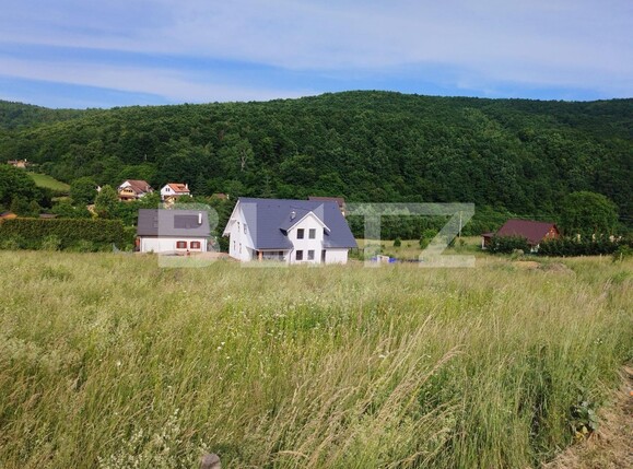 Teren de vânzare Salicea - 137780TV | BLITZ Cluj-Napoca | Poza3