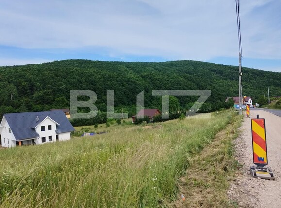 Teren de vânzare Salicea - 137780TV | BLITZ Cluj-Napoca | Poza4