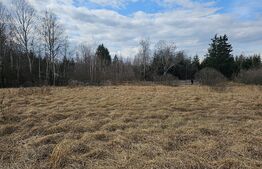 Teren intravilan Dealu Negru 1200mp