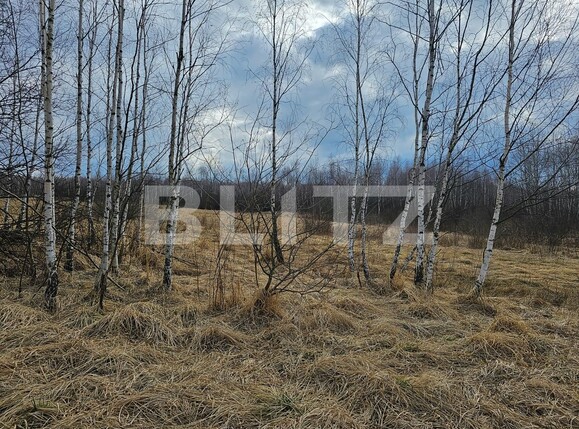 Teren de vânzare Exterior Vest - 137896TV | BLITZ Cluj-Napoca | Poza1