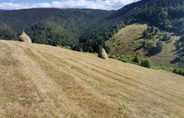 Teren 10.000 mp, extravilan, priveliste superba, Rachitele