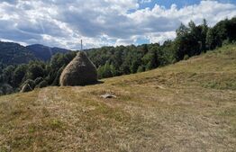 Teren 10.000 mp, extravilan, priveliste superba, Rachitele