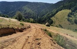 Teren 10.000 mp, extravilan, priveliste superba, Rachitele