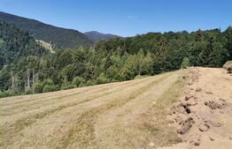 Teren 10.000 mp, extravilan, priveliste superba, Rachitele