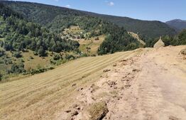 Teren 10.000 mp, extravilan, priveliste superba, Rachitele