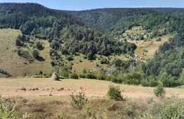 Teren 10.000 mp, extravilan, priveliste superba, Rachitele