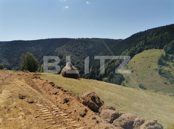 Teren de vânzare Beliș - 137906TV | BLITZ Cluj-Napoca | Poza9