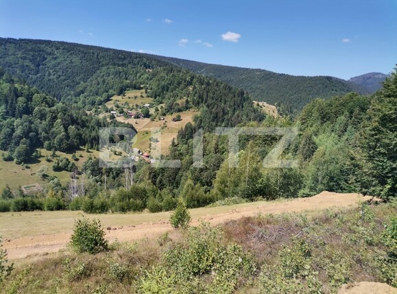 Teren de vânzare Beliș - 137906TV | BLITZ Cluj-Napoca | Poza16