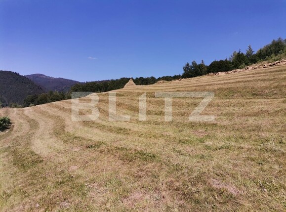 Teren de vânzare Beliș - 137906TV | BLITZ Cluj-Napoca | Poza8