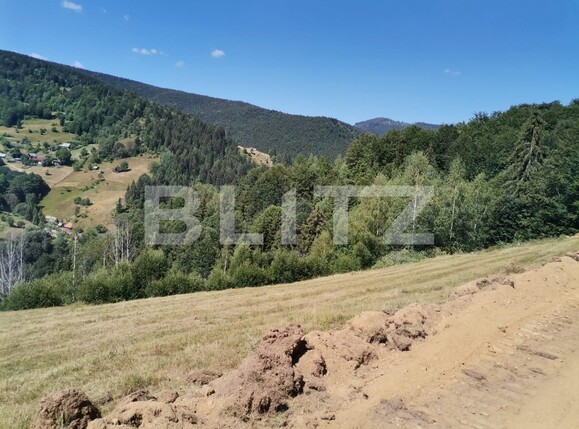 Teren de vânzare Beliș - 137906TV | BLITZ Cluj-Napoca | Poza12