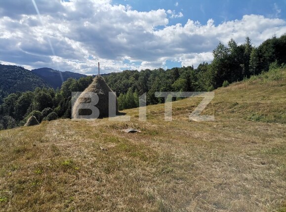 Teren de vânzare Beliș - 137906TV | BLITZ Cluj-Napoca | Poza2