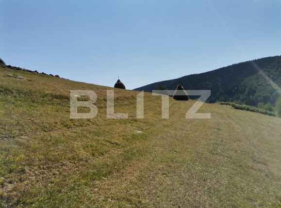 Teren de vânzare Beliș - 137906TV | BLITZ Cluj-Napoca | Poza10