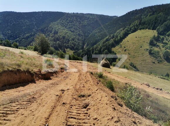 Teren de vânzare Beliș - 137906TV | BLITZ Cluj-Napoca | Poza3