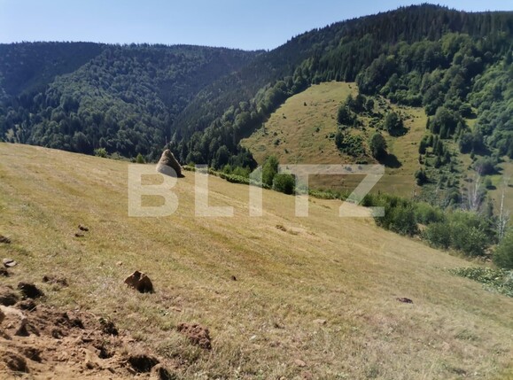 Teren de vânzare Beliș - 137906TV | BLITZ Cluj-Napoca | Poza11