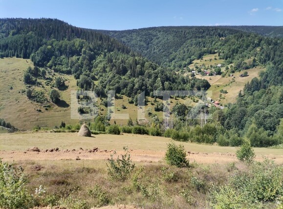 Teren de vânzare Beliș - 137906TV | BLITZ Cluj-Napoca | Poza1