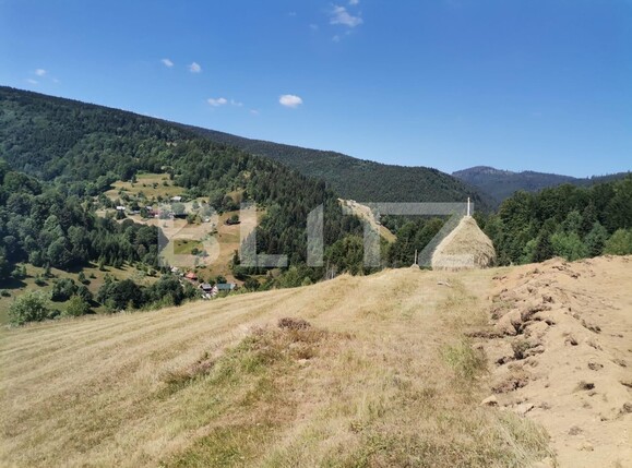 Teren de vânzare Beliș - 137906TV | BLITZ Cluj-Napoca | Poza17