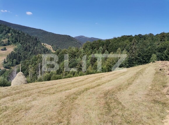 Teren de vânzare Beliș - 137906TV | BLITZ Cluj-Napoca | Poza15