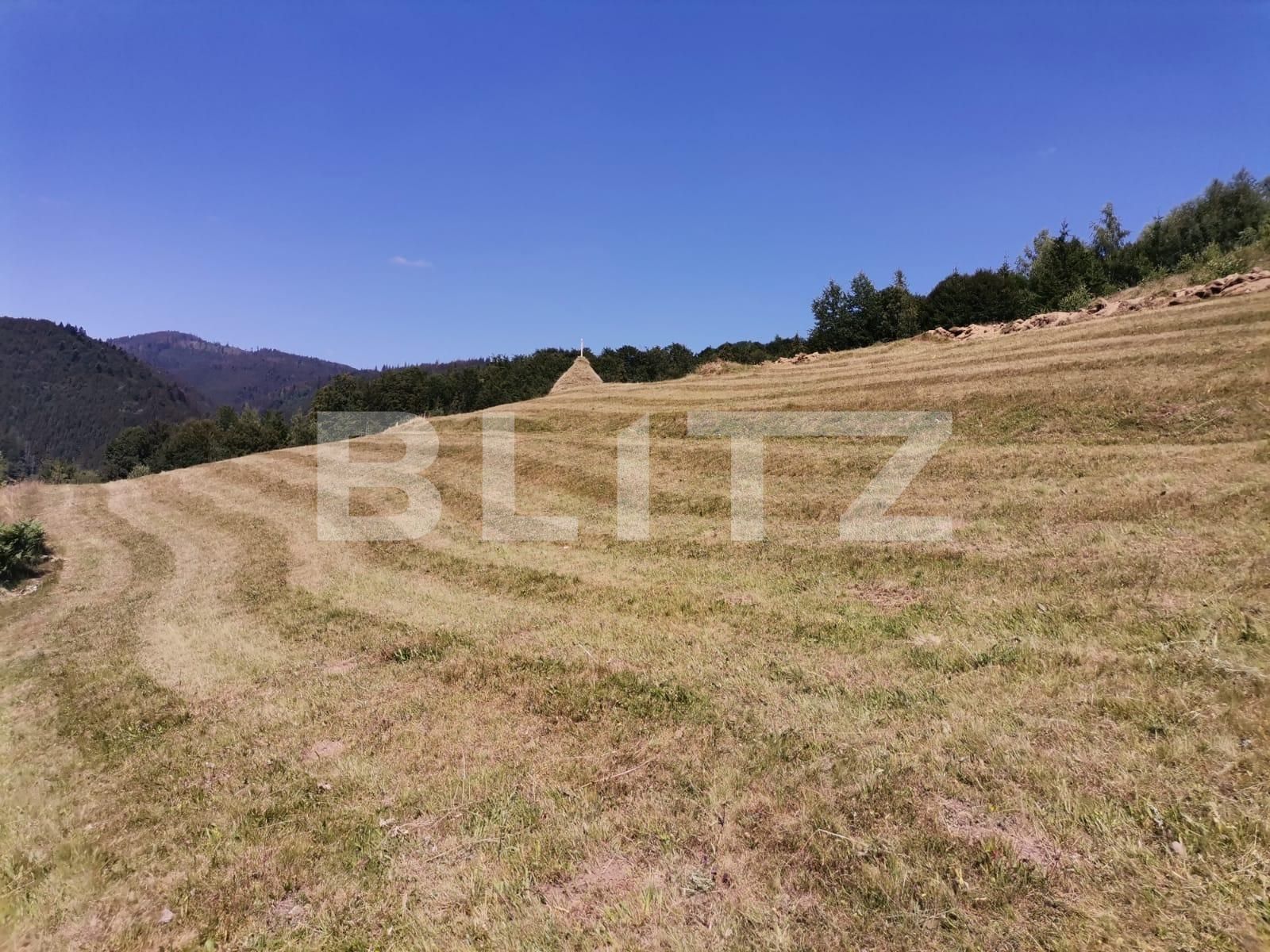 Teren de vânzare Beliș - 137906TV | BLITZ Cluj-Napoca | Poza8