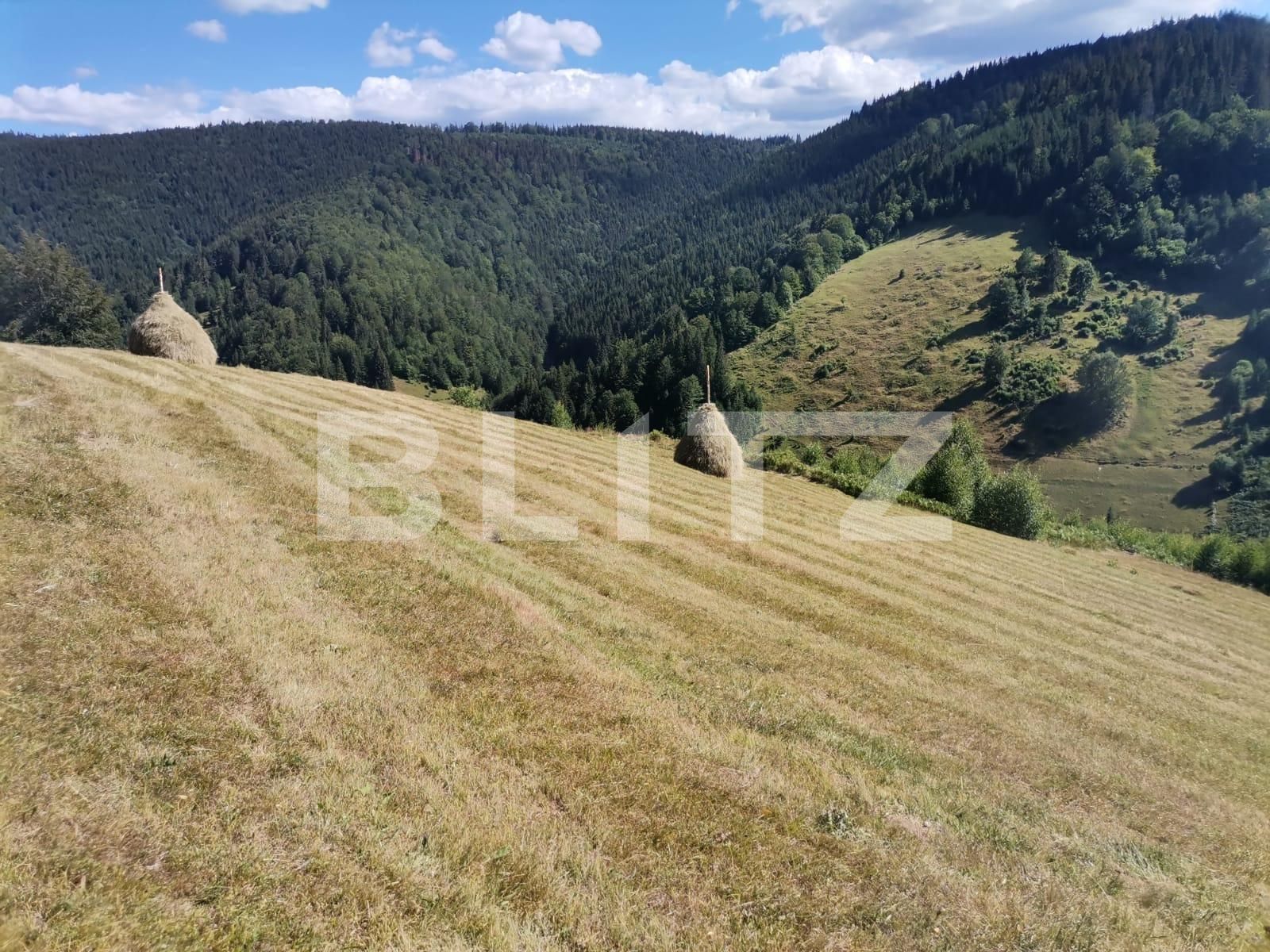 Teren de vânzare Beliș - 137906TV | BLITZ Cluj-Napoca | Poza5