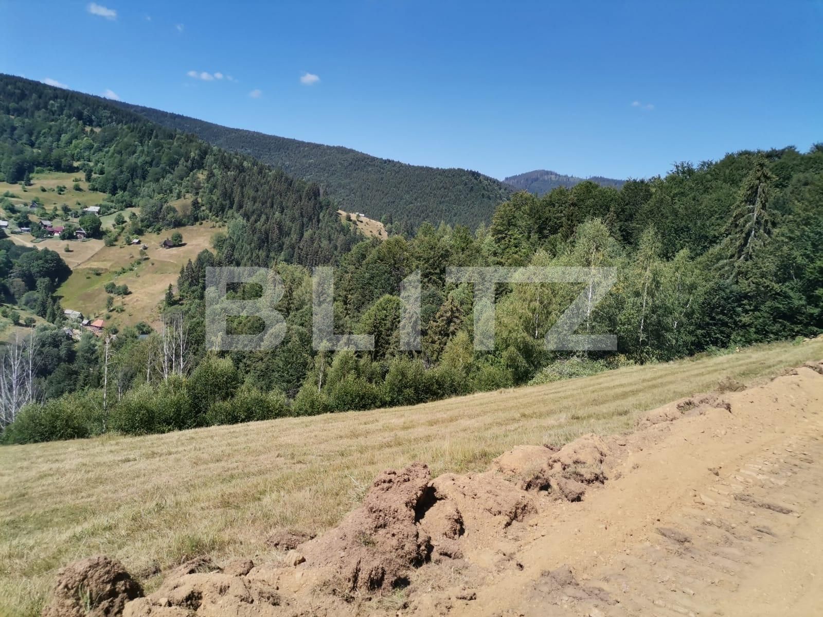 Teren de vânzare Beliș - 137906TV | BLITZ Cluj-Napoca | Poza12