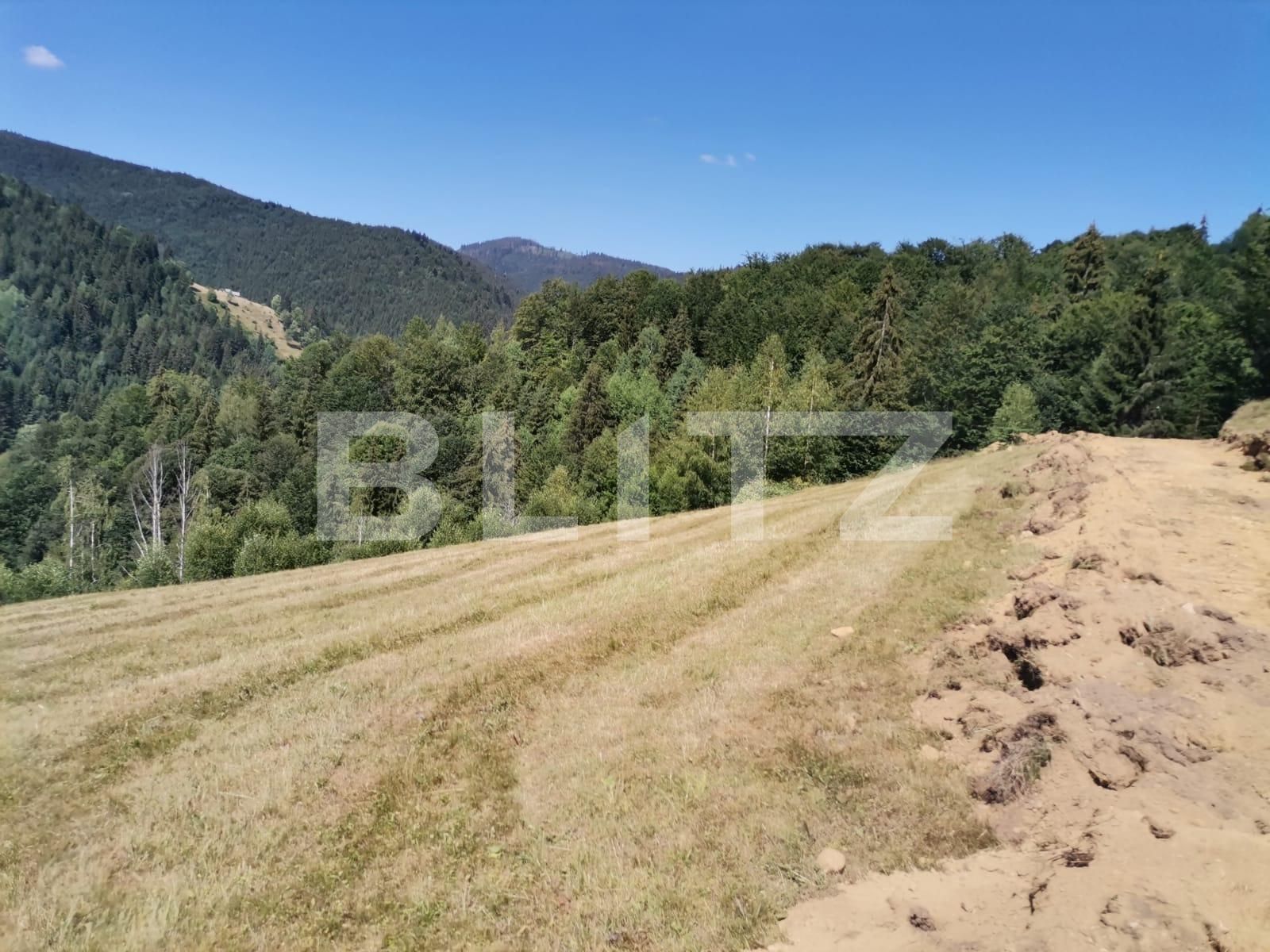 Teren de vânzare Beliș - 137906TV | BLITZ Cluj-Napoca | Poza7