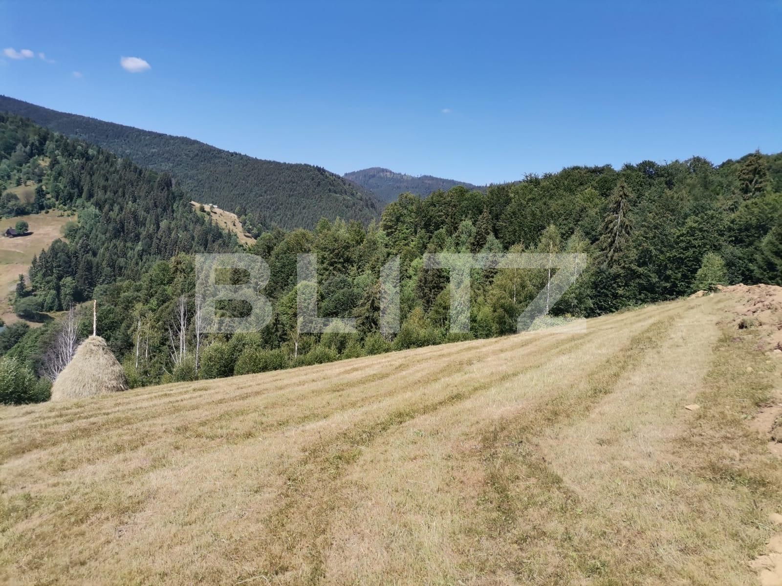 Teren de vânzare Beliș - 137906TV | BLITZ Cluj-Napoca | Poza15