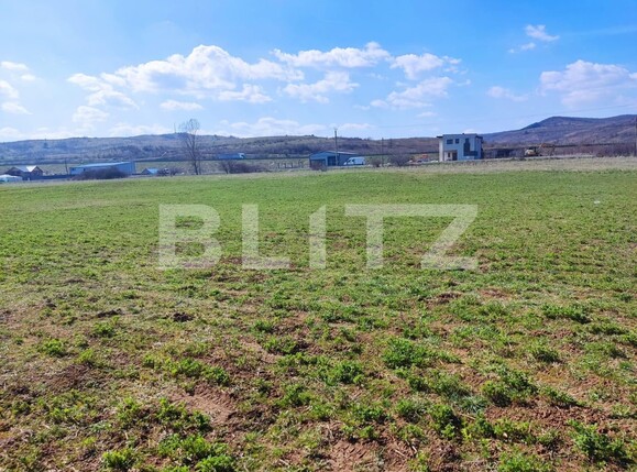 Teren de vânzare Luna - 137908TV | BLITZ Cluj-Napoca | Poza1