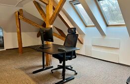 Spatiu Birouri: 2 camere mobilat 170 mp + spatiu comun 750 mp, Central