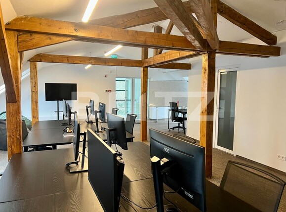 Spațiu birouri de închiriat Central - 137926SIB | BLITZ Cluj-Napoca | Poza9