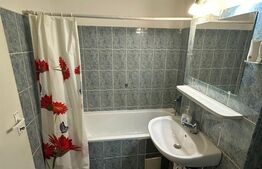 Apartament 1 camera, 40 mp,  Intre lacuri 