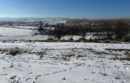 Teren intravilan parcelabil, 6000 mp in Salicea