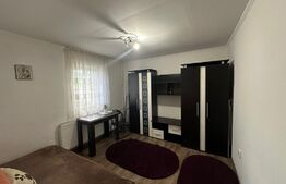 Garsoniera 21 mp, zona strazii Migdalului , cartierul Gruia 