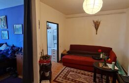 Apartament decomandat, 41 mp utili, parcare, acces restrictionat, zona Terra