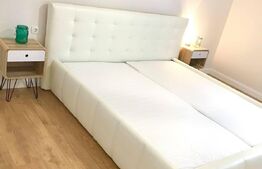 Apartament 2 camere, 55 mp, zona strazii Aurel Vlaicu