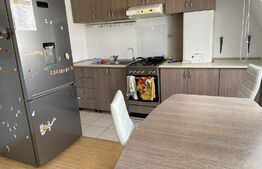 Apartament 3 camere, 52 mp, parcare, zona Muzeul Apei