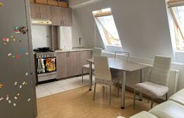 Apartament 3 camere, 52 mp, parcare, zona Muzeul Apei